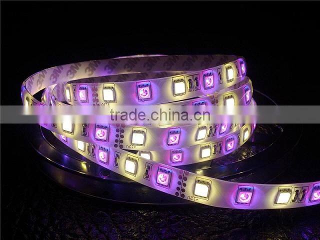 Colorful powered Festive atmosphere christmas decorating led lights