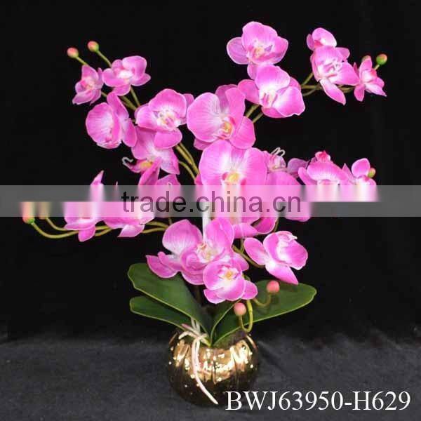 Cheap Wholesale Artificial Torch Orchid Bonsai