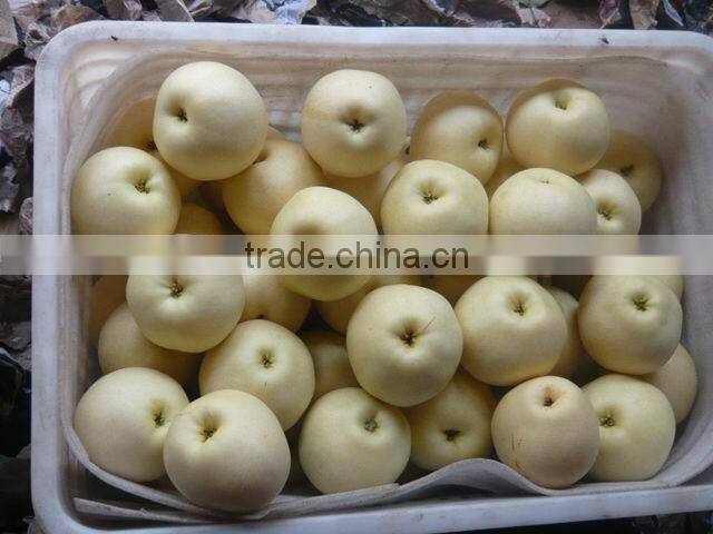 China fresh emerald pear with cheap price and good quality
