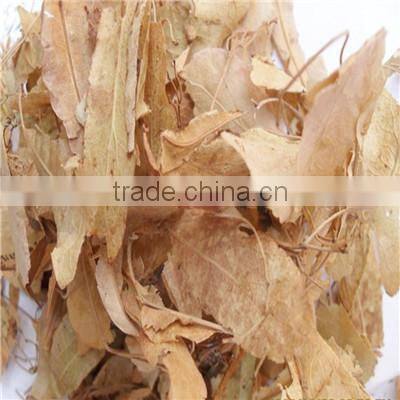 Well Dry New Crop 2015 Chinese Dry Flower of Miquel Linden
