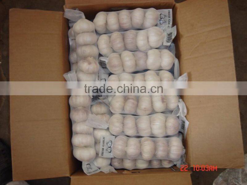 YUYUAN brand hot sail fresh garlic aged garlic extract