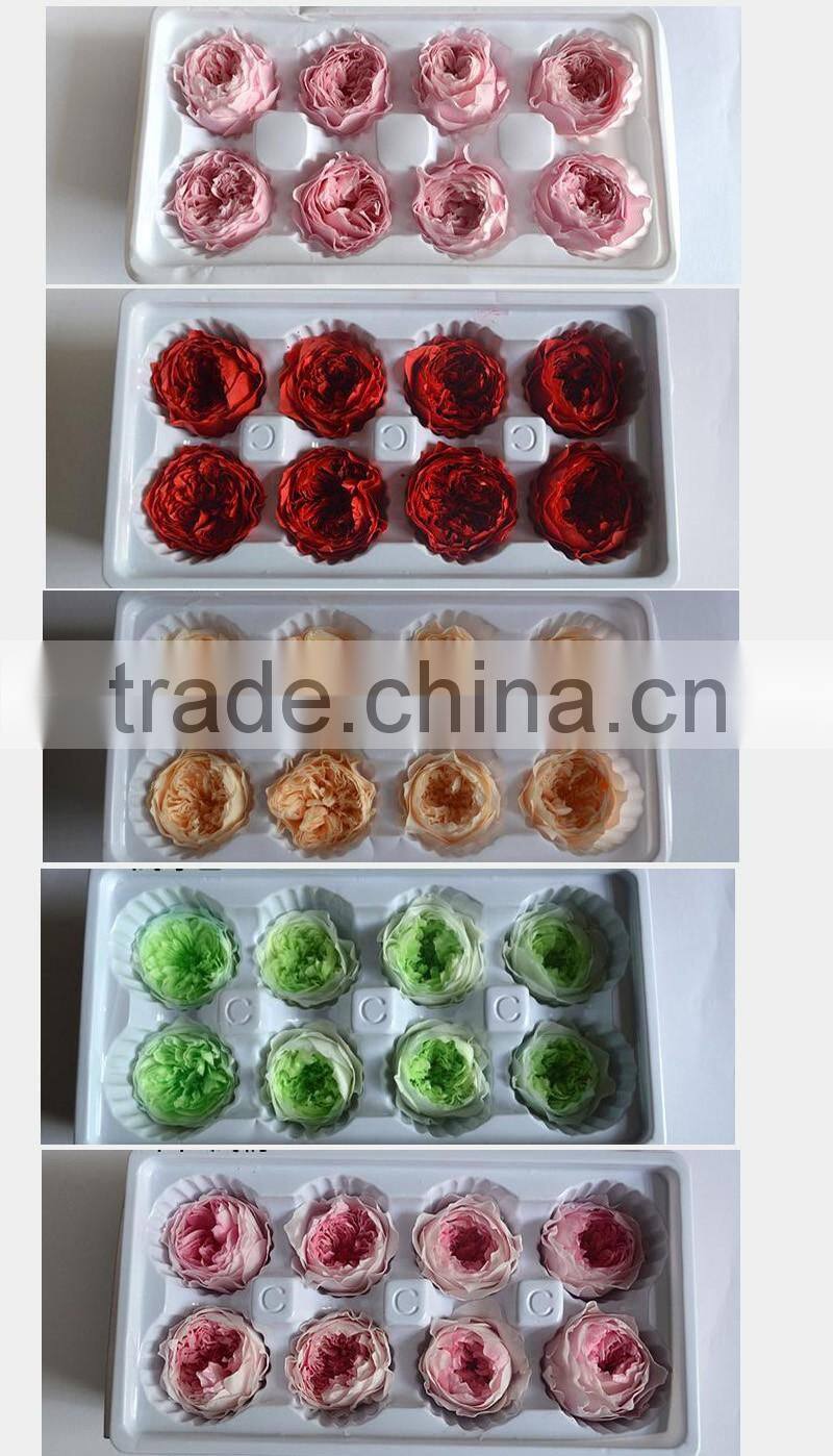 Fresh cut roses Preserved Fresh Flower Asuting Rose For Wedding Decoration