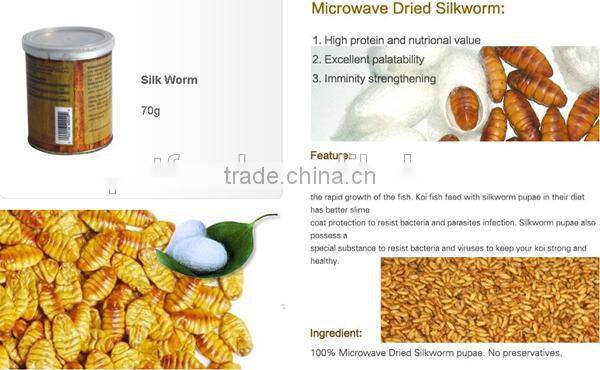 packets food lizard dried silkworm chow