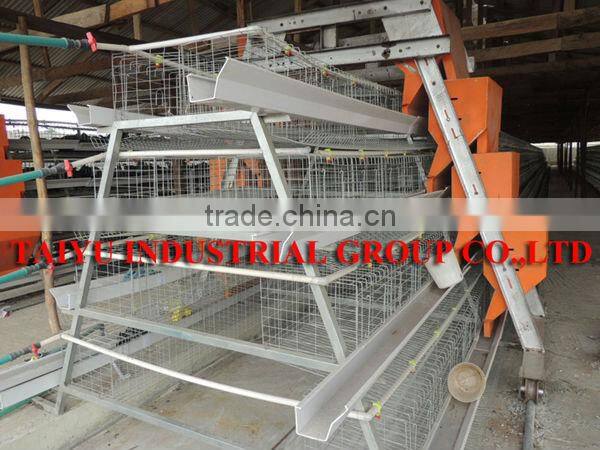 TAIYU Kenya Poultry Farm Automatic Chicken Lay