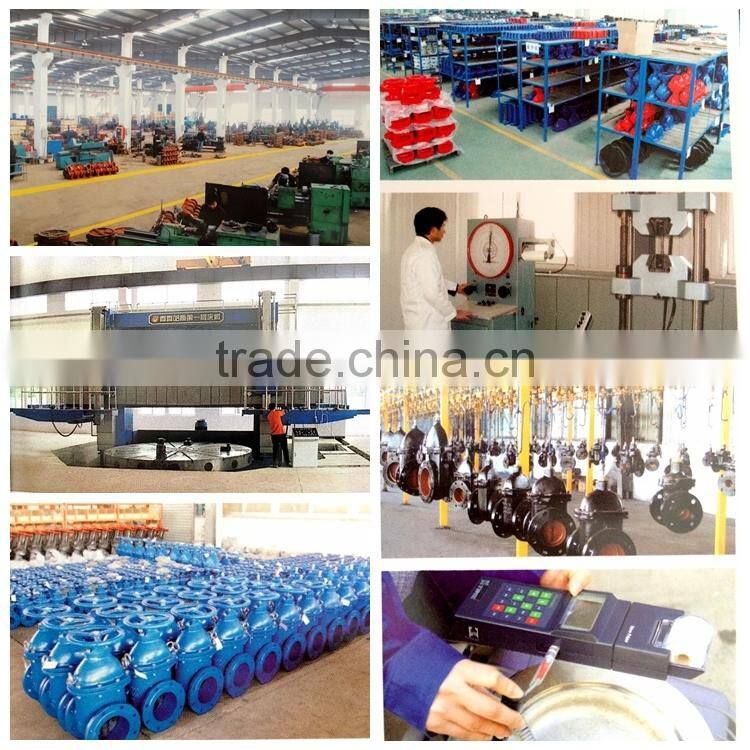 double eccentric butterfly valve