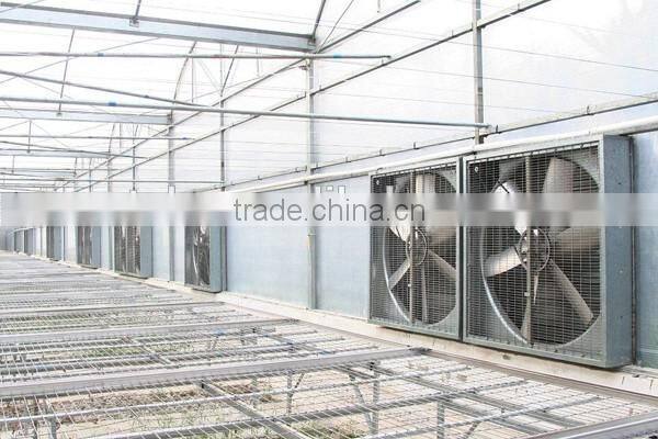 54'' Poultry farm ventilation cooling system belt drive exhaust fans