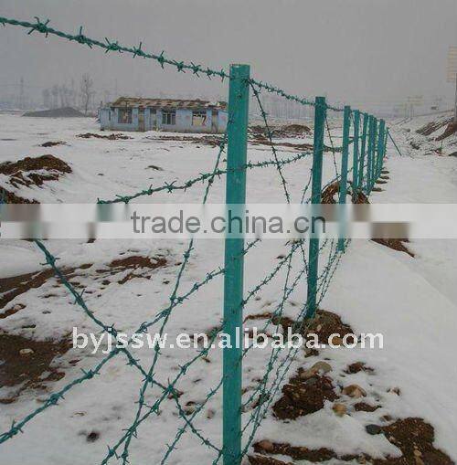 PVC Coated 10 Gauge Wire Barbed Wire ( Direct Factory )