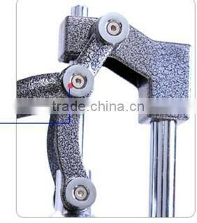 stand style Pomegranate juice