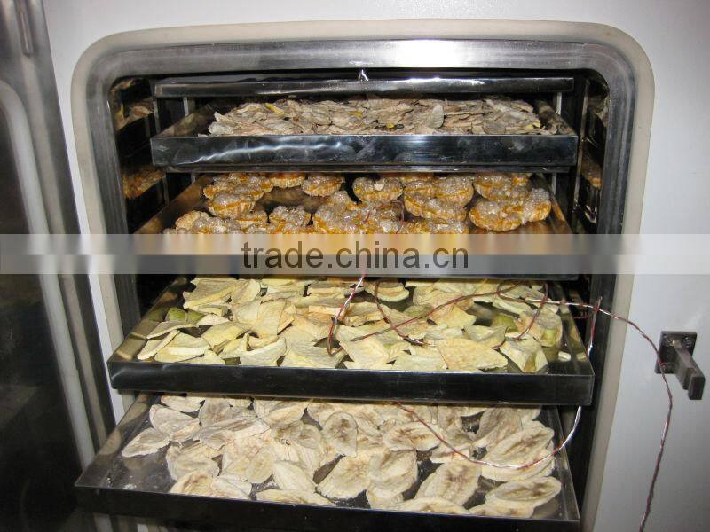 Hot Sale Food Freeze Dryer