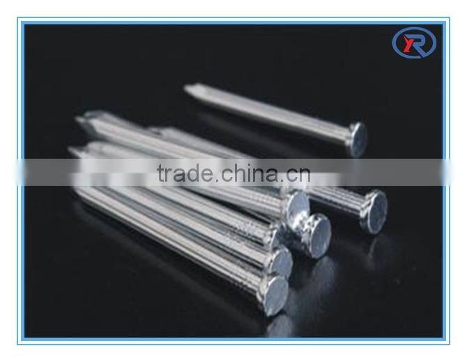 China Manufacture steel concrete nails/concrete nails/galvanized concrete nails