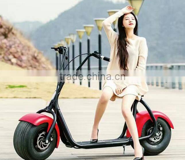 Newest popular citycoco 800W Electric Scooter/brushless motor scooter/ widen tire scooter (TKE-S800)