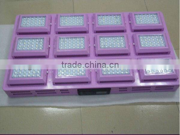 growing healthily with the led grow lights system