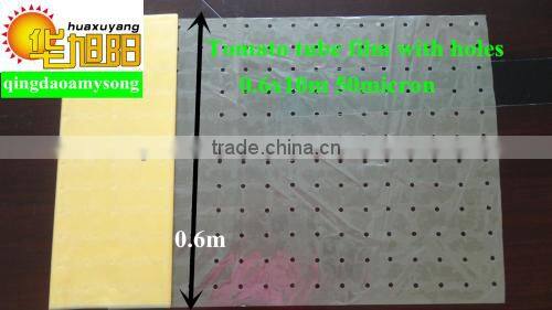 Blow molding LDPE plastic green color tomato pe tube perforated film