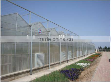 PC Sheet Cover Material industrial greenhouse for vegetable