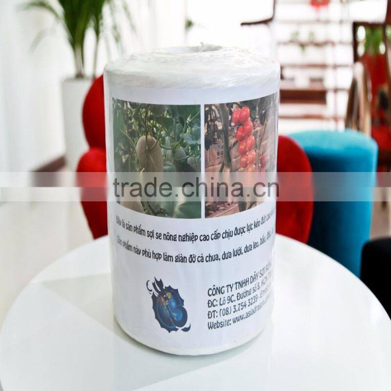 High Quality Polypropylene Banana Twine