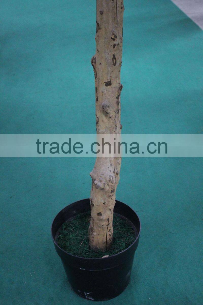 hot sale date fruit tree high simulation decorative indoor trees