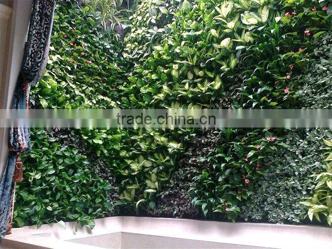 Eco-friendly green wall artificial /fake wall plant for indoor/outdoor decorative