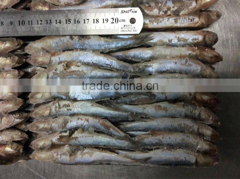 hot sales Land frozen anchovy