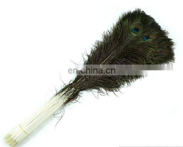 quality and quantity assured wholesale peacock feather trim