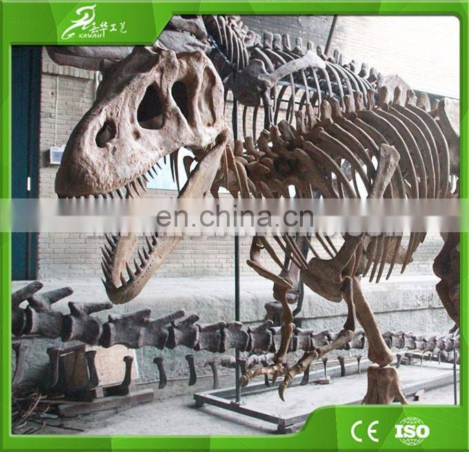 KAWAH High Quality Exvacation Replica Dig Life Size 3d Education Dinosaur Fossil For Sale