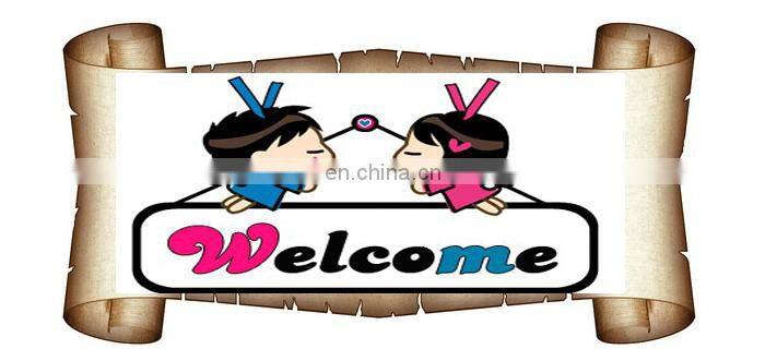 new product lace front wig indai hair wig cheap price