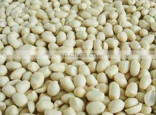 Automatic 304 stainless steel pine nut peeling machine/peanut peeling machinery
