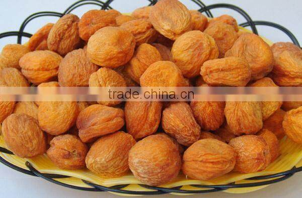sun dried apricot