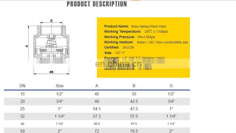 Dual Plate Duckbill Flap Vertical Dn100 Pn16 Natural Gas 8 Inch Flapper Type Swing Check Valve