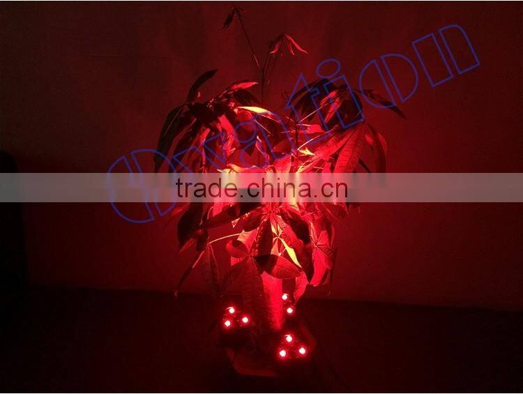 China Supplier 2016 new products Mini dj lights LED par Christmas light