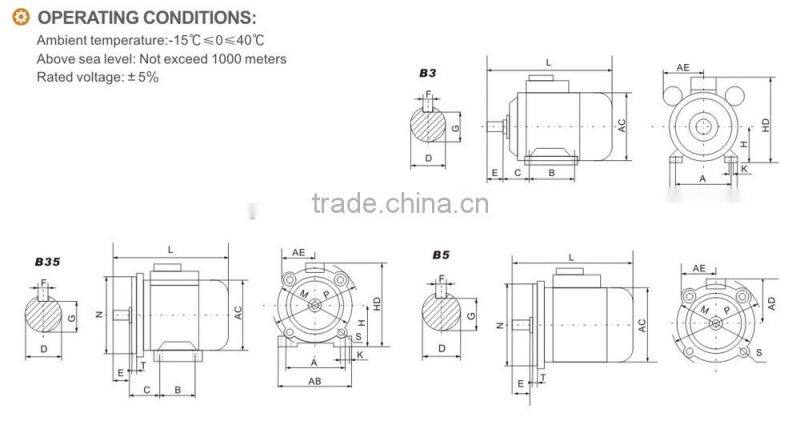 Electrico Single Phase 0.5 HP Electric Motor