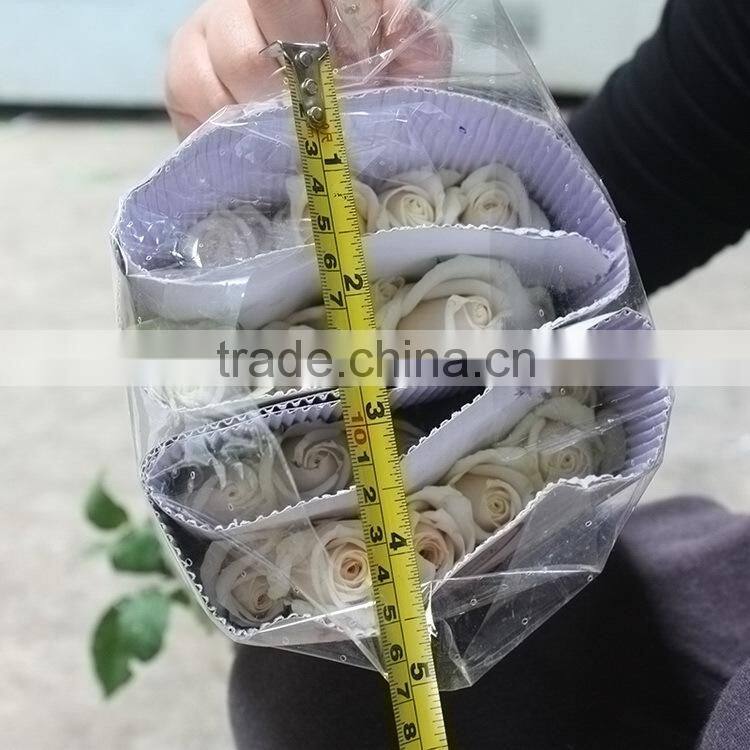 Top grade Vendela white rose for wedding