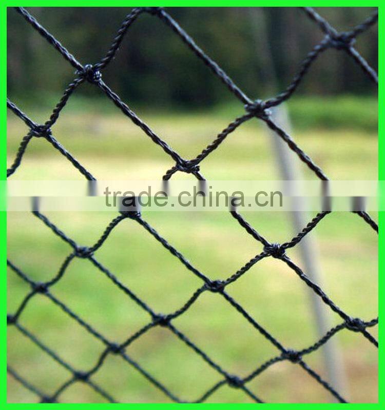 reused virgin HDPE plastic anti bird net/fabric wire bird mesh