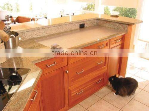 Puppy Indoor Training Mat