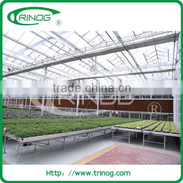Ebb and flow seeding beds in commercial greenhouse