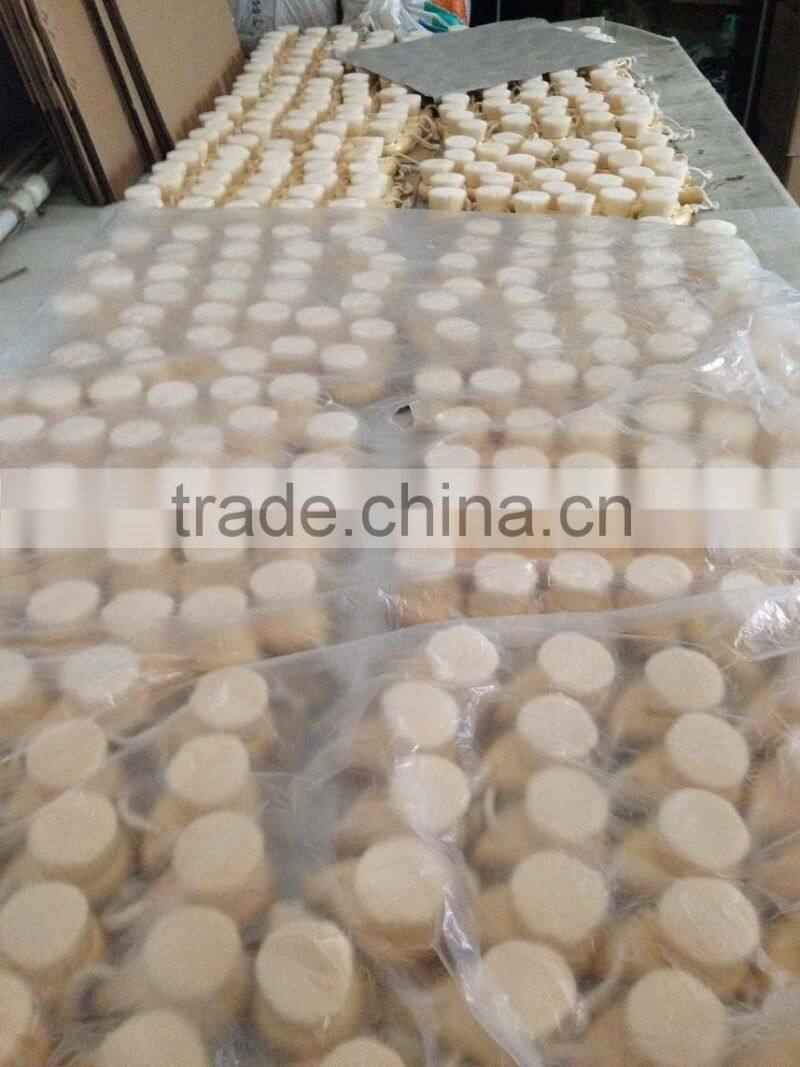 New arrival sik hair plastic face cleansing comma brush