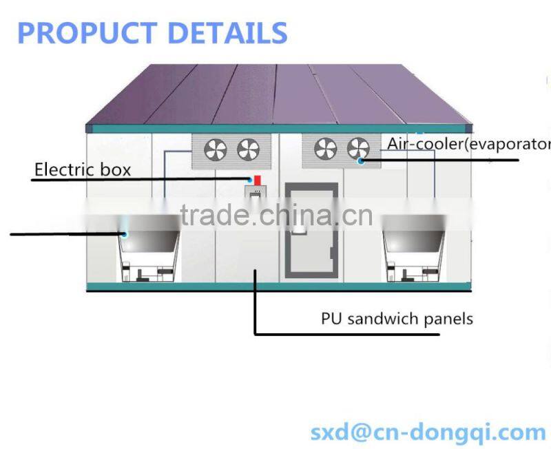 Cold Store for Fruit and Vegetable Design