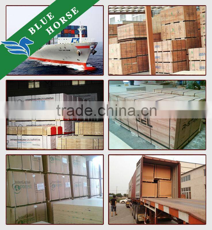 russian birch plywood baltic birch plywood cabinet grade 18mm birch plywood