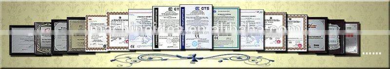 DX 5 print head for Printing and Cutting machine