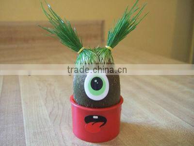 DIY grass head dolls plants for birthday gift
