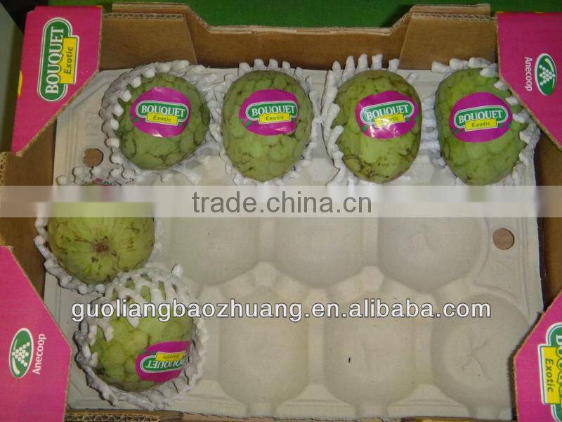 Colorful/Plastic Packaging Blister Food Tray