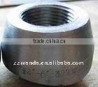 High Quality Pipe Fitting ASTM 304L 304 Carbon Steel Weldolet