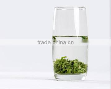 Organic morning green tea rich vitamin tea china exporters