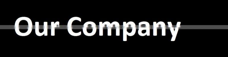 36v 350w 10AH electric bike conversion kit chinese Water bottle