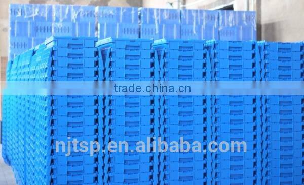 Plastic Moving Totes