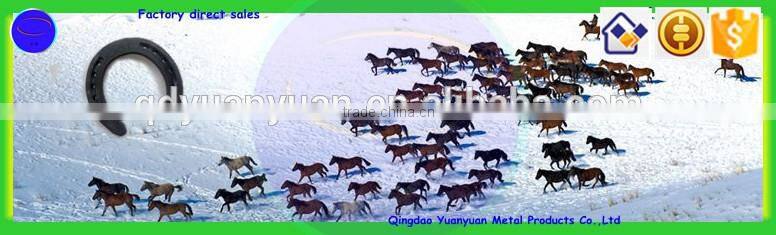 china factory direct selling competition wholesale horse vaulting shoes