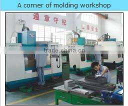 Yuyao Shunlong ABS Plastic Packaging For Clothing Mould