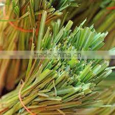 lemon grass oil