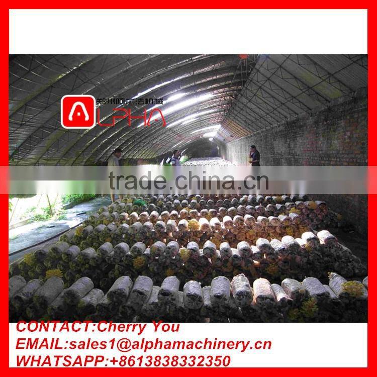 Factory supply mushroom substrate filling machine mushroom bagging machine with competitive price