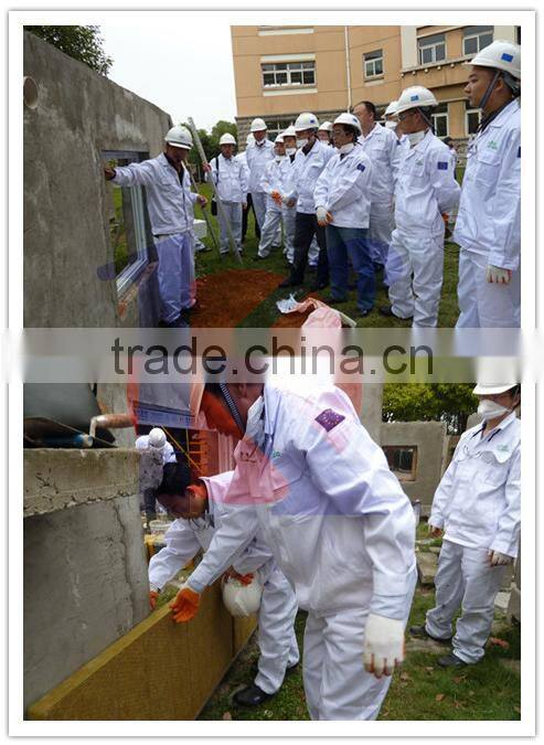 expandable polystyrene panel