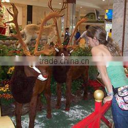 Furry toy looking up lifelike fake animal gorilla